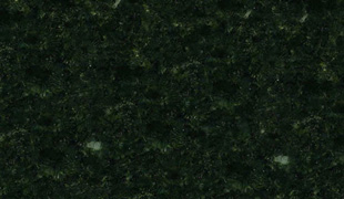 Verde Labrador